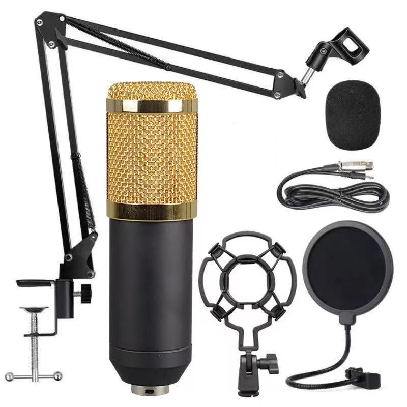 Recording Studio Condenser Microphone with Adjustable Stand