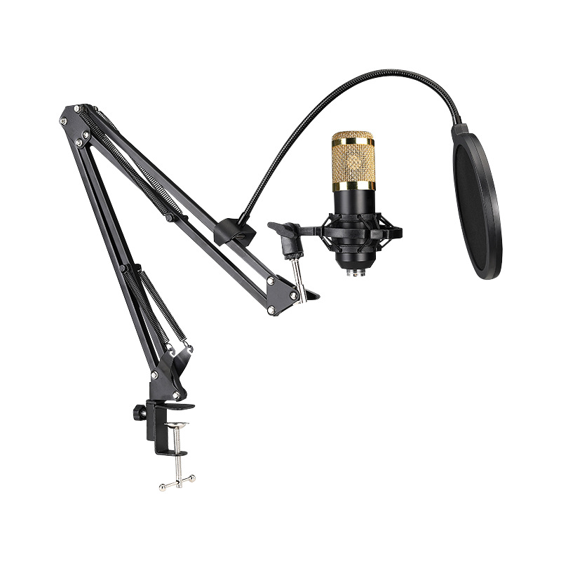 Recording Studio Condenser Microphone with Adjustable Stand