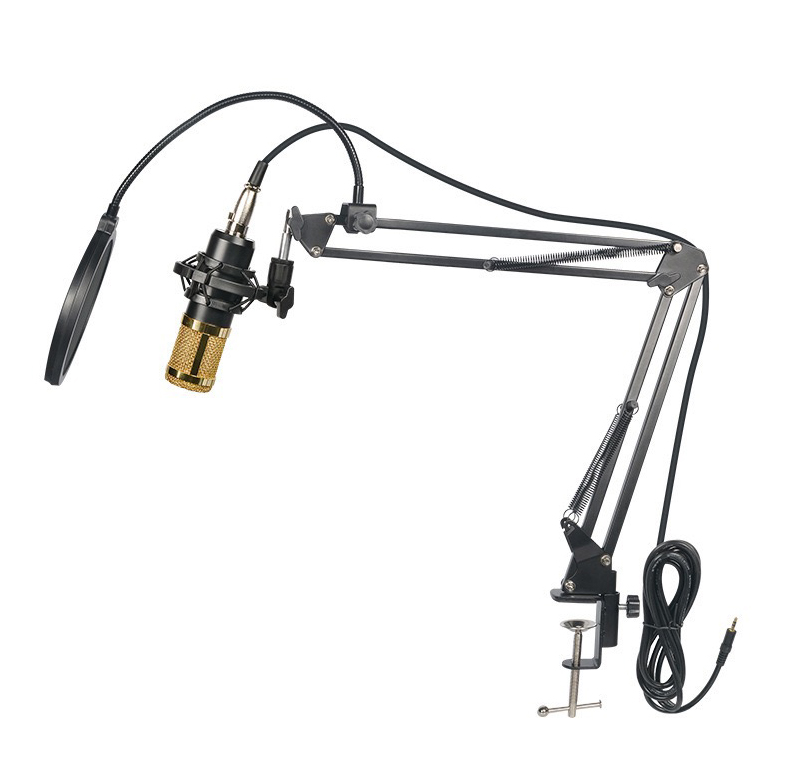 Recording Studio Condenser Microphone with Adjustable Stand