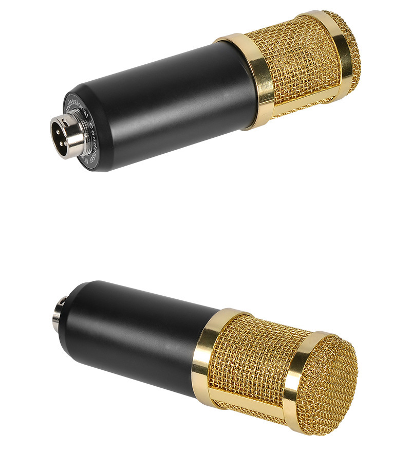 Recording Studio Condenser Microphone with Adjustable Stand