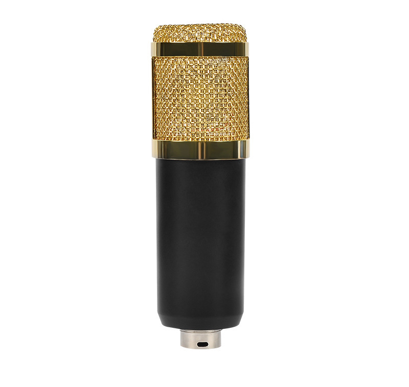 Recording Studio Condenser Microphone with Adjustable Stand